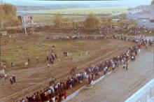 palio