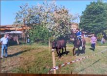 palio