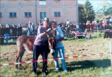 palio